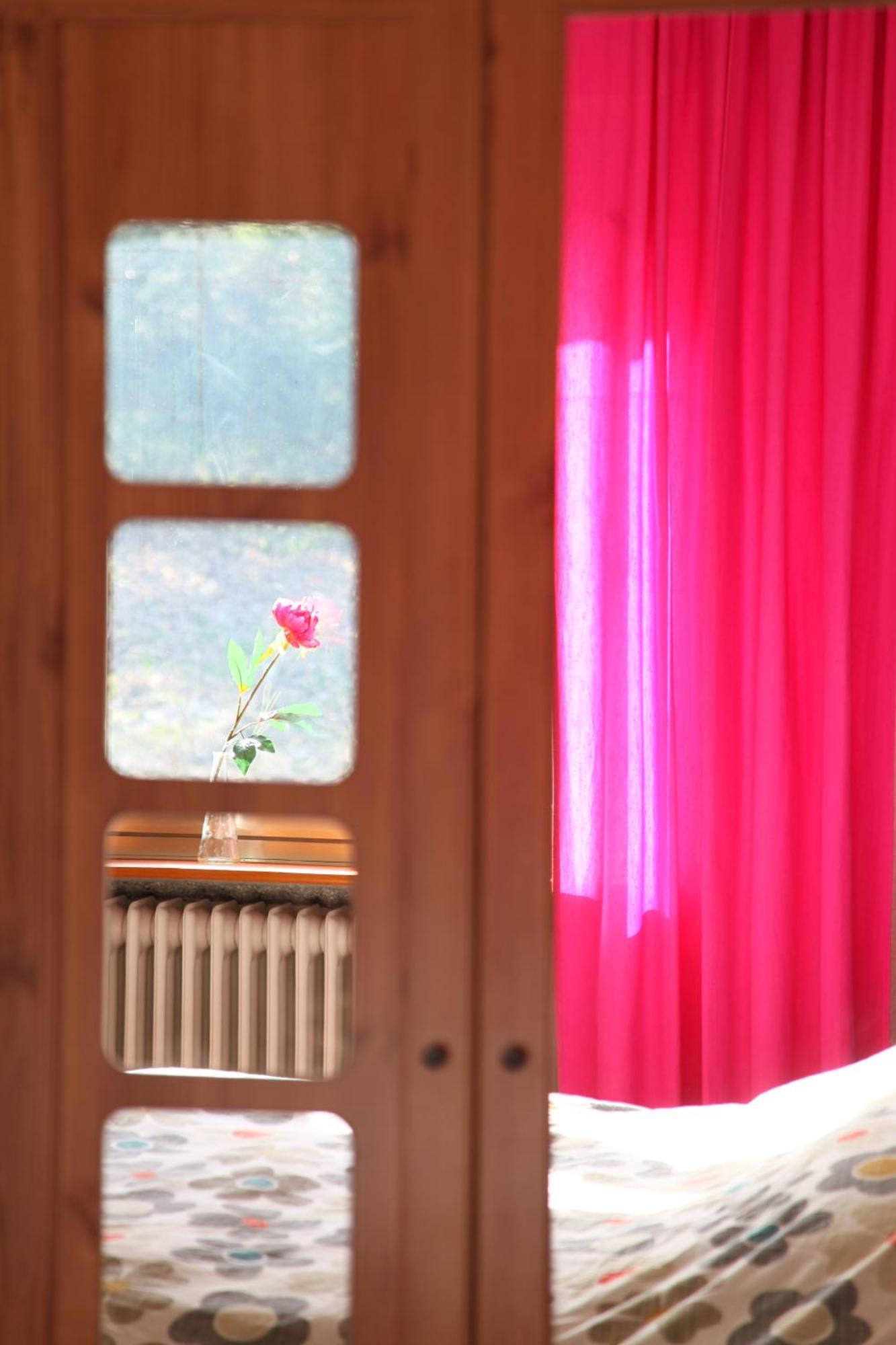 Haus Nova Am Bollerberg Bed & Breakfast Халенберг Екстериор снимка